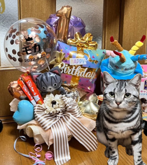 愛猫のバースデー】☆数字入り・お名前入りちゅーるでお祝い