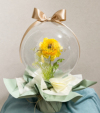 �y�J�X�E�J�@�E�J�ƁE���N�j���z���X������u�₩�ȐF�����C�G���[�̃��i���L�����X�̃t�����[�o���[���i���^�C�v