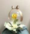 �y�J�X�E�J�@�E�J�ƁE���N�j���z���X������u�₩�ȐF�����C�G���[�̃��i���L�����X�̃t�����[�o���[���i���^�C�v