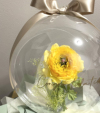 �y�J�X�E�J�@�E�J�ƁE���N�j���z���X������u�₩�ȐF�����C�G���[�̃��i���L�����X�̃t�����[�o���[���i���^�C�v