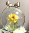 �y�J�X�E�J�@�E�J�ƁE���N�j���z���X������u�₩�ȐF�����C�G���[�̃��i���L�����X�̃t�����[�o���[���i���^�C�v