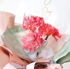 送料無料 母の日限定 カーネーションフラワーバルーンレッド バルーン電報 祝い花 造花 フラワーギフト 母の日 Southwestne Com