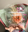�y�J�X�E�J�@�E�J�ƁE���N�j���z���X���E�����O����Ӓ����ƃ��i���L�����X�̑傫�ڃt�����[�o���[��