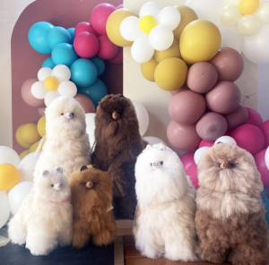 アルパカ　ぬいぐるみ 受注商品】ぬいぐるみ・アルパカ茶 | KOESEN (Baby&Kids